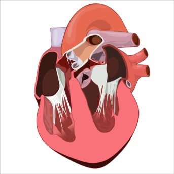 Beating Heart Tricuspid Valve Repair by OrangeCountySurgeons